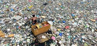 Entrada sin título 3270