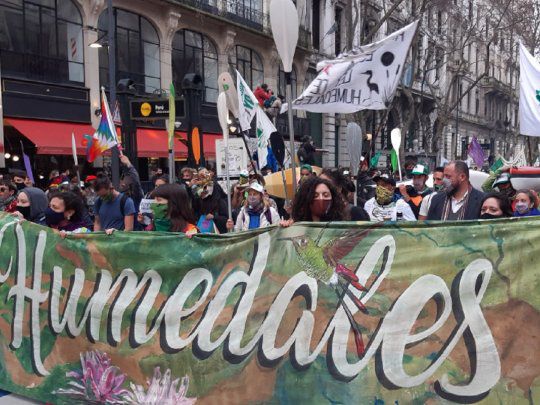 ¿Qué pasa con la Ley de Humedales?