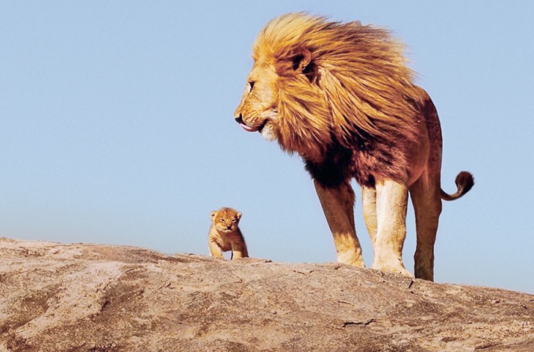 Depredadores por Naturaleza: El León