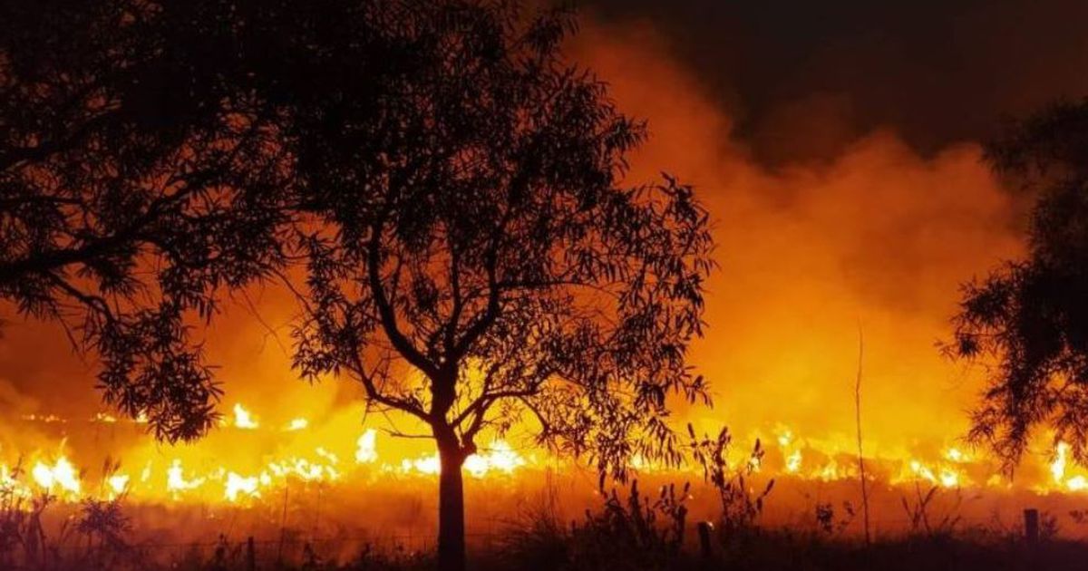 Incendios en Corrientes quemaron medio millón de hectáreas