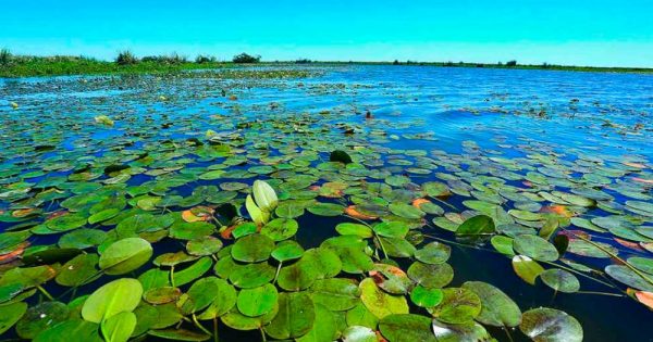El Parque Nacional Iberá reabrió al turismo tras los incendios