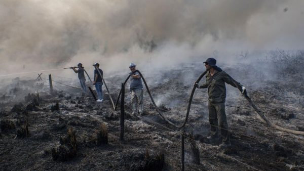“Sin focos activos”: el gobernador de Corrientes anunció que se apagaron los incendios en la provincia