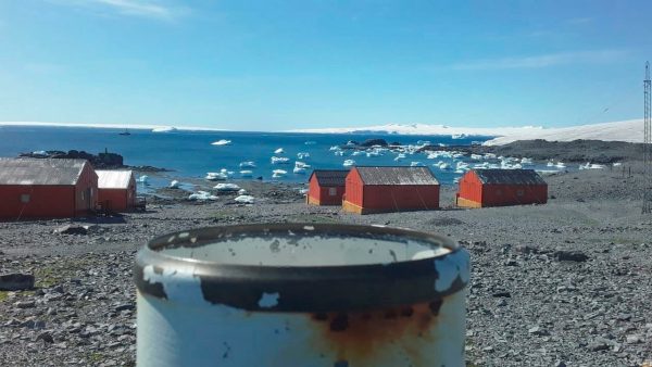 Antártida registró inéditos 34°C de temperatura y marcó récord