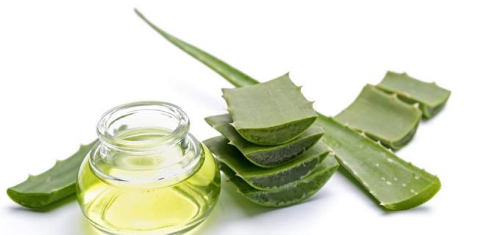 5 plantas útiles para cosmética natural