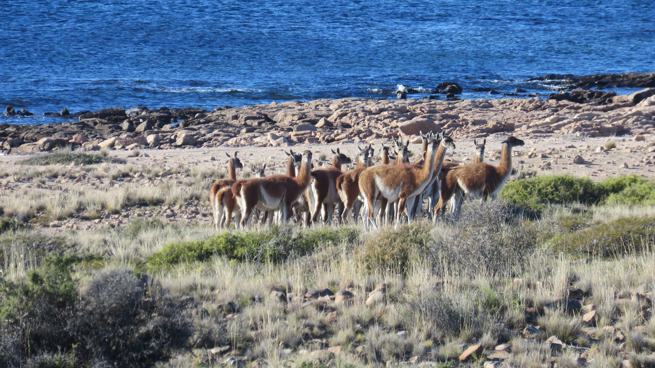 Islote Lobos: el Parque Nacional número 40