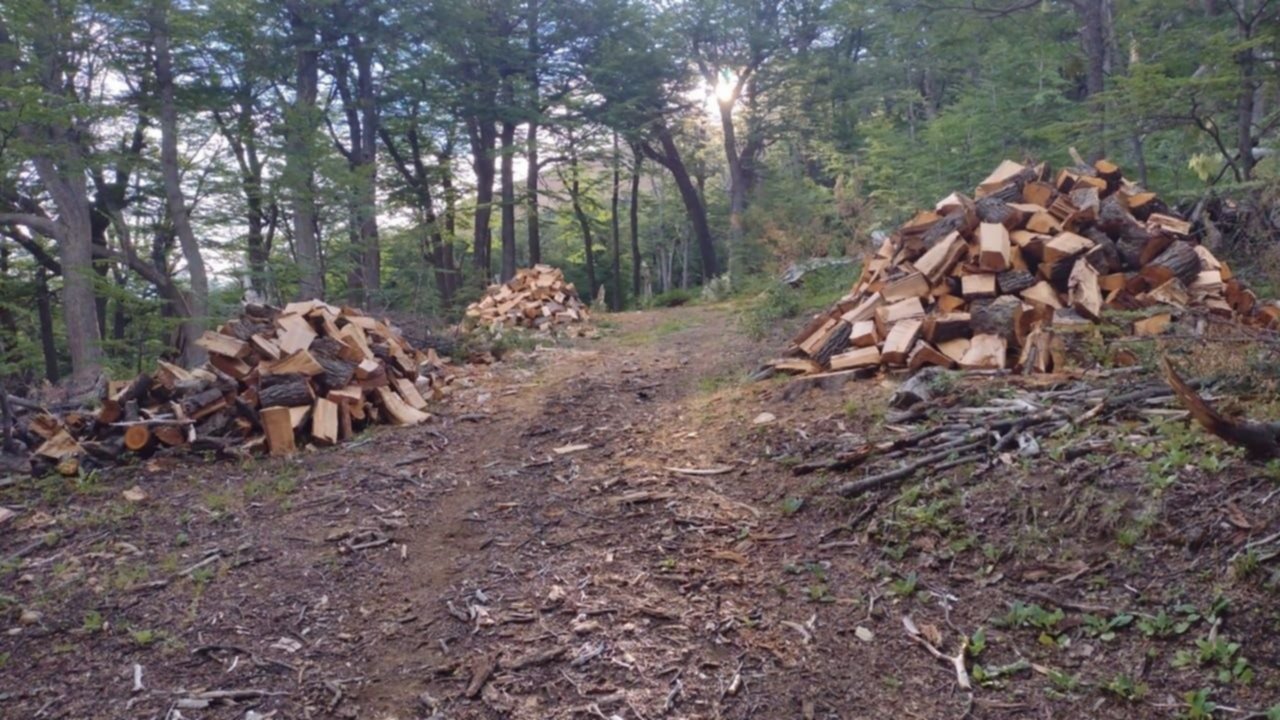 Un empresario de Chubut deberá pagar multa millonaria por talar un bosque nativo para hacer una pista de esquí