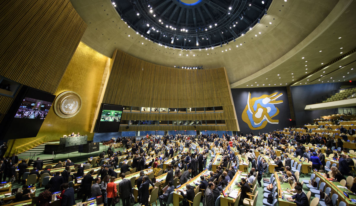 La Asamblea General de la ONU declaró el derecho a un ambiente sano un derecho humano universal