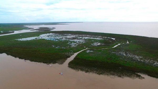 Cómo son las "Islas Distintas", el conjunto de islotes que apareció en San Isidro