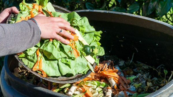 5 maneras de conservar tus alimentos para evitar su desperdicio