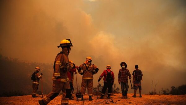 Tras días de incansable lucha, lograron extinguir los incendios de Chile